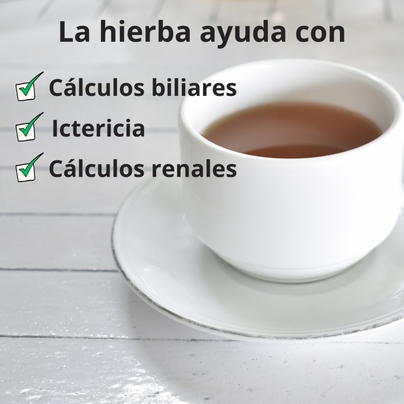 Raíz de diente de león - 100g