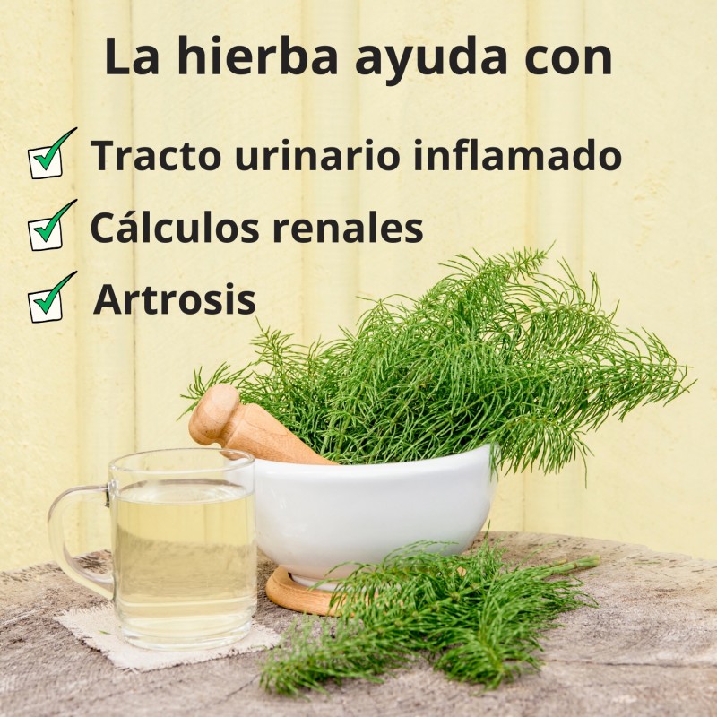 Tallo de cola de caballo - 70g