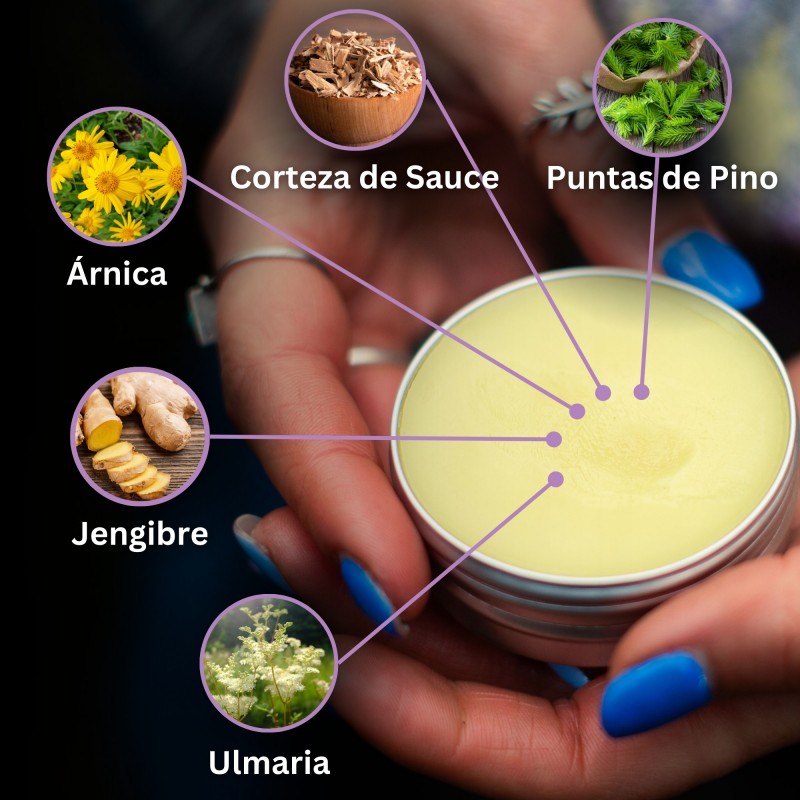 3x Pomada para Moretones y Músculos con Árnica y Jengibre - 40ml
