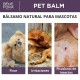 3x Bálsamo Anti-Irritación para Mascotas con Llantén - 40ml