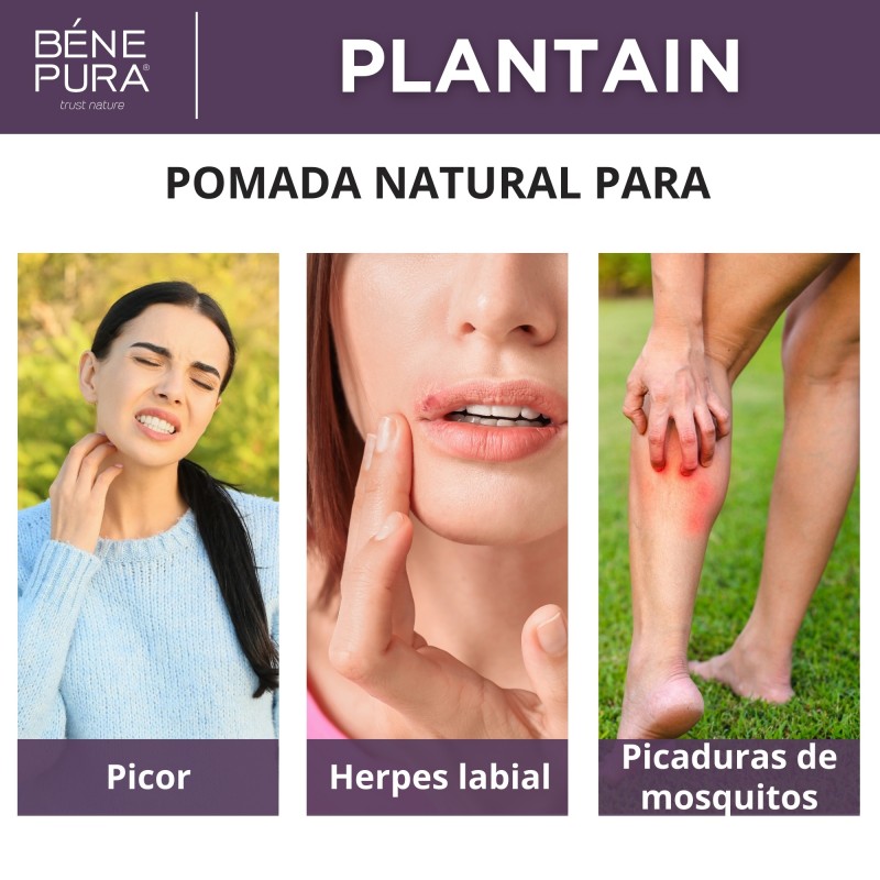 Set Ungüentos para heridas, quemaduras e irritaciones de la piel