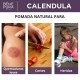 2x Pomada para Quemaduras y Heridas con Caléndula, Aloe Vera y Hierba de San Juan - 40ml