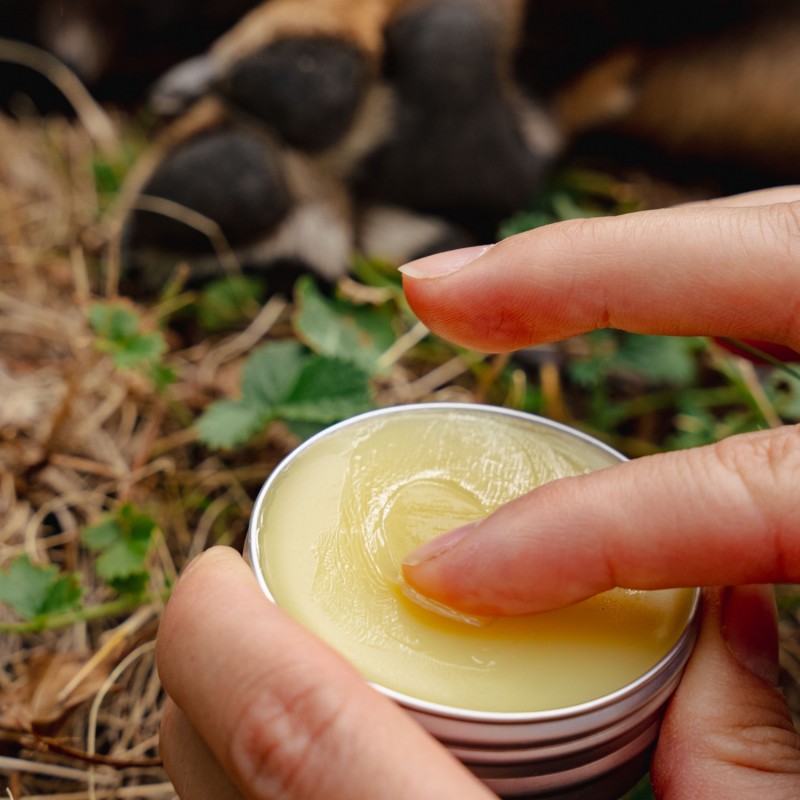 Bálsamo Anti-Irritación para Mascotas con Llantén - 40ml