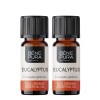 2x Bio Aceite esencial de Eucalipto Globulus - 10ml