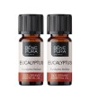 2x Bio Aceite esencial de Eucalipto Radiata - 5ml
