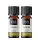 2x Bio Aceite esencial de Jengibre - 5ml