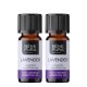 2x Bio Aceite esencial de Lavanda - 10ml