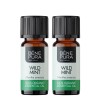 2x Bio Aceite esencial de Menta Silvestre - 5ml