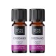 2x Bio Aceite esencial de Orégano - 10ml