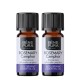 2x Bio Aceite esencial de Romero Alcanfor - 5ml