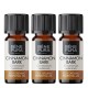 3x Bio Aceite esencial de Canela - 10ml