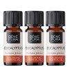 3x Bio Aceite esencial de Eucalipto Globulus - 10ml