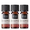 3x Bio Aceite esencial de Eucalipto Radiata - 5ml