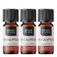 3x Bio Aceite esencial de Eucalipto Radiata - 5ml