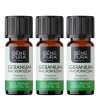 3x Bio Aceite esencial de Geranio - 10ml