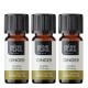 3x Bio Aceite esencial de Jengibre - 5ml