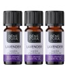 3x Bio Aceite esencial de Lavanda - 10ml