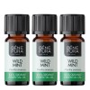 3x Bio Aceite esencial de Menta Silvestre - 5ml