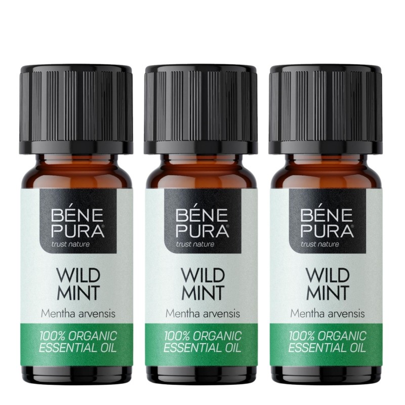 3x Bio Aceite esencial de Menta Silvestre - 5ml