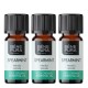 3x Bio Aceite esencial de Menta verde - 5ml