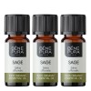 3x Bio Aceite esencial de Salvia - 10ml