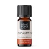 Bio Aceite esencial de Eucalipto Globulus - 10ml
