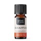 Bio Aceite esencial de Eucalipto Globulus - 10ml