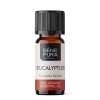 Bio Aceite esencial de Eucalipto Radiata - 5ml