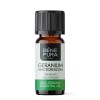 Bio Aceite esencial de Geranio - 10ml