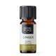 Bio Aceite esencial de Jengibre - 5ml