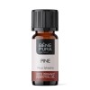 Bio Aceite esencial de Pino Blanco - 10ml