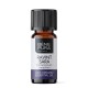 Bio Aceite esencial de Ravintsara - 5ml