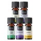 Set Bio Aceite esencial „Cuidado suave de la piel