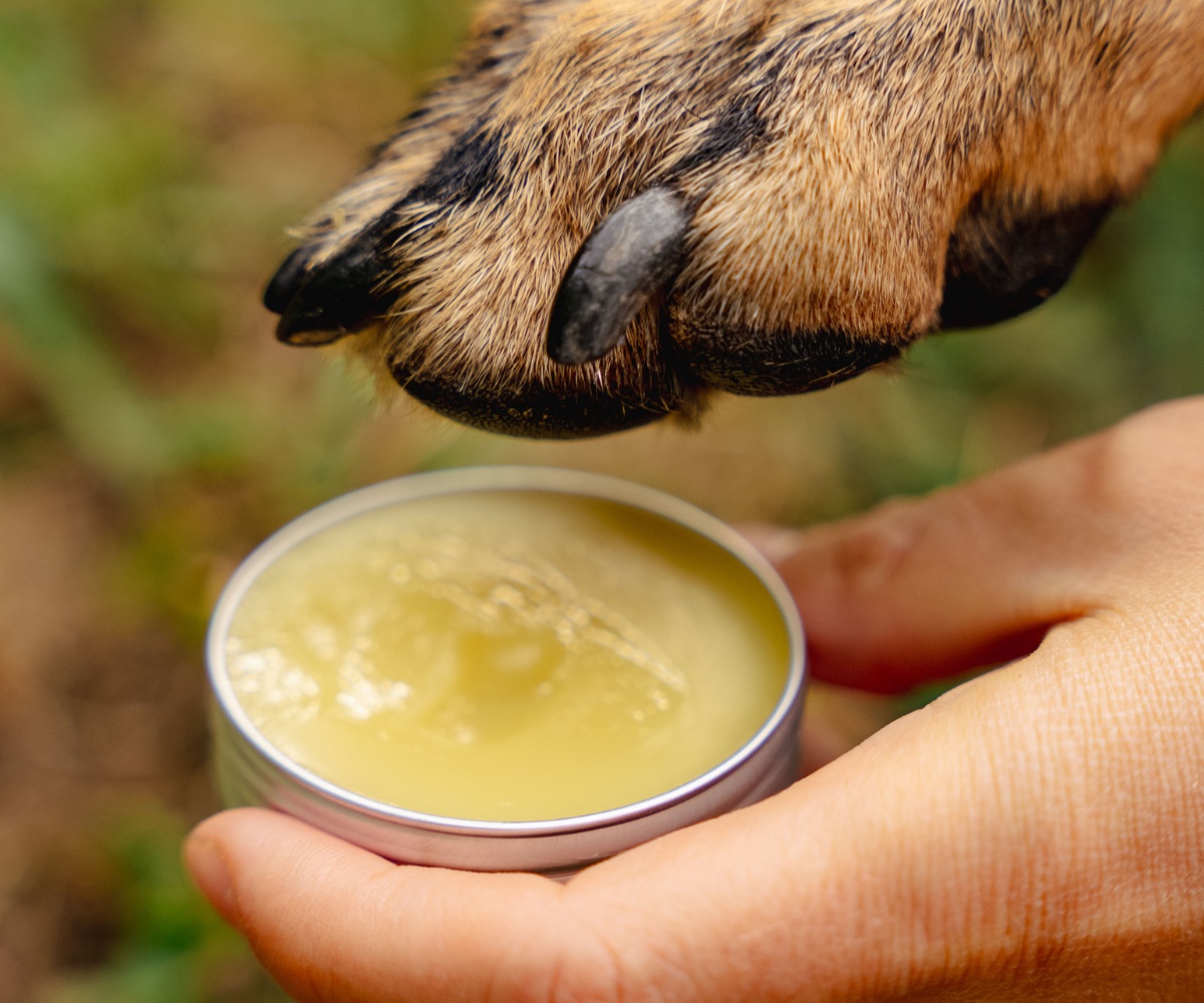 Bálsamo antiirritaciones para mascotas con plátano