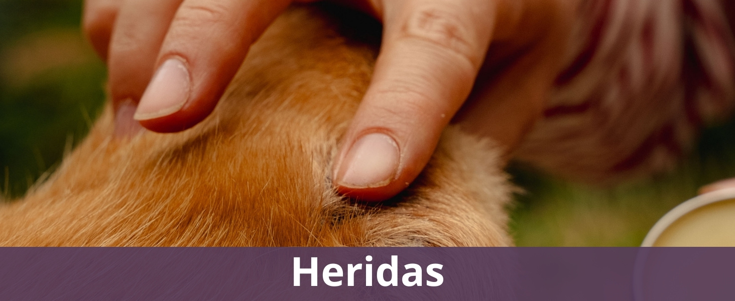 Heridas