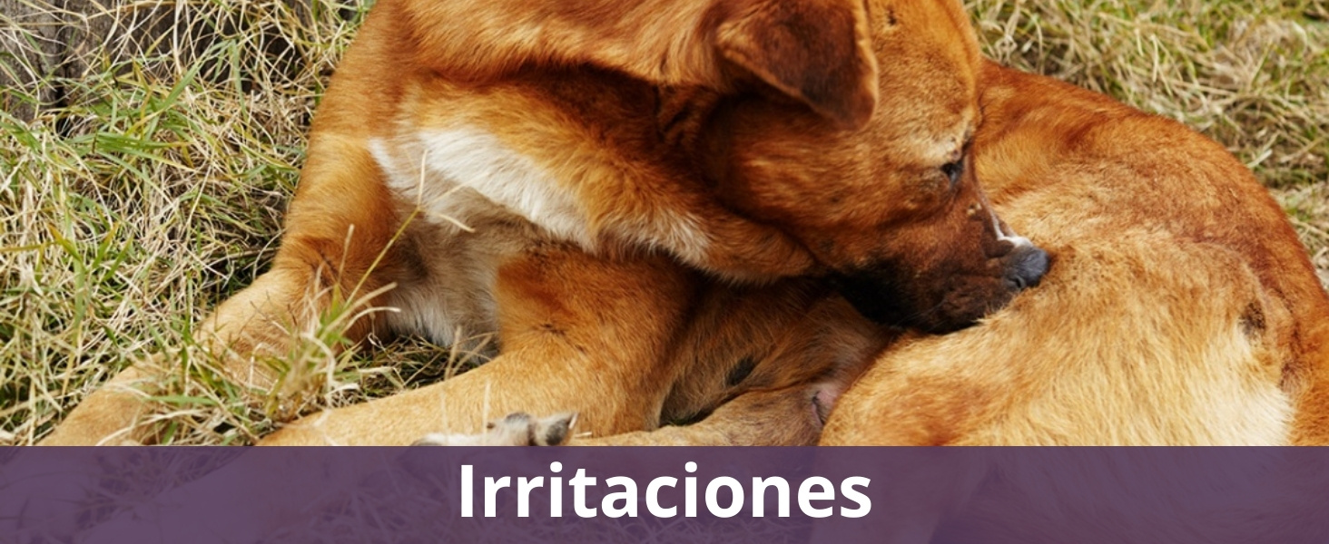 Irritaciones