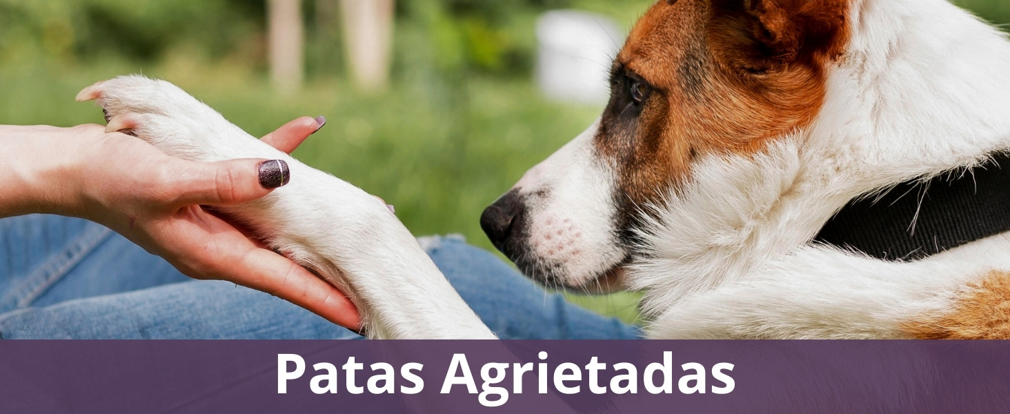 Patas Agrietadas