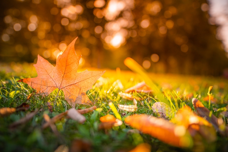 ¿Cómo cuidar la piel en otoño?