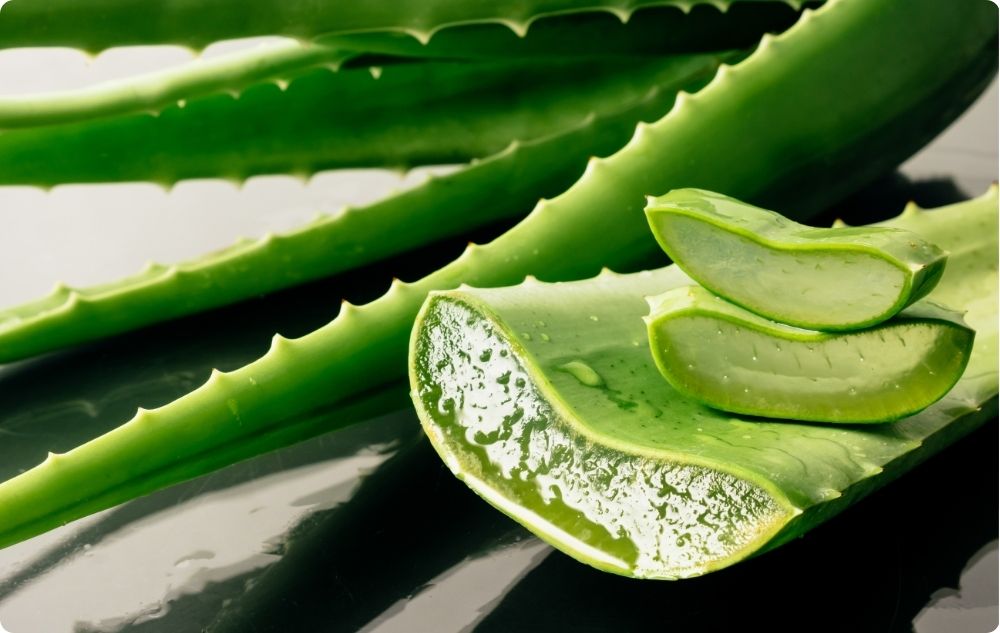 Gel de aloe vera