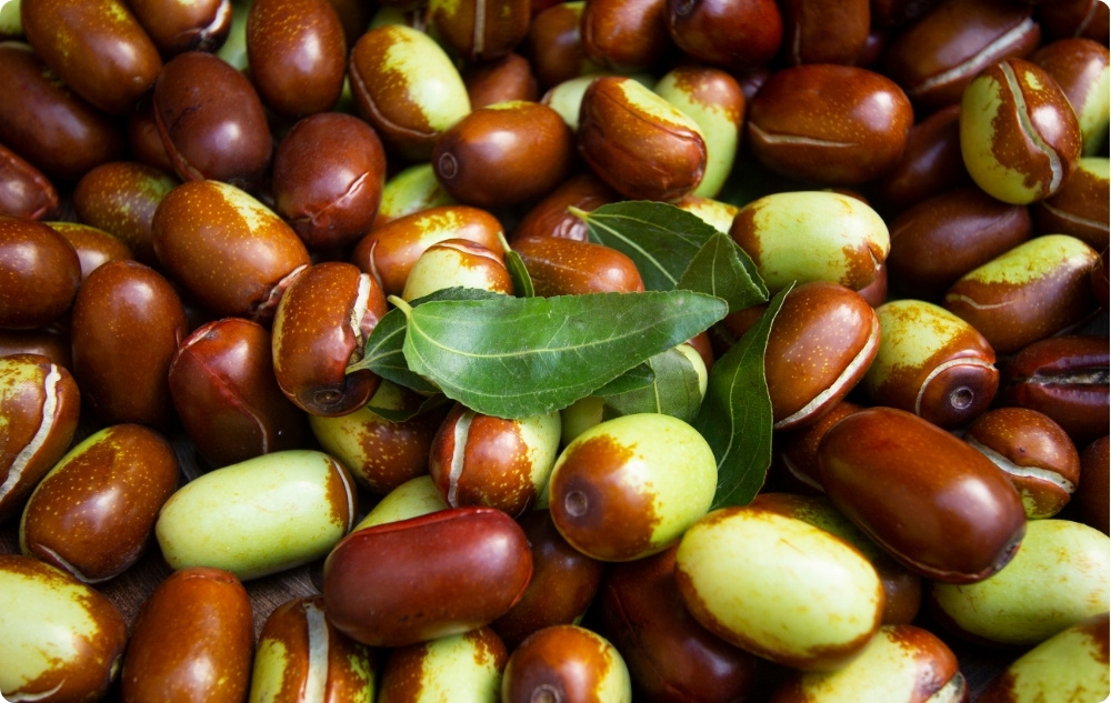 ¿En qué ayuda el aceite Portador de Jojoba?