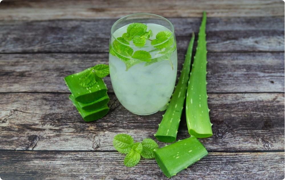 Bebidas de aloe vera